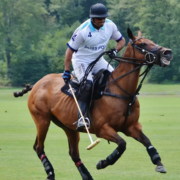 Horse Yakh Donkey Polo Traditional Sports Games Pakistan Association